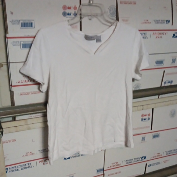 Coral Bay Size L White V-Neck Short Sleeve Top (SKU 522) - Picture 1 of 2